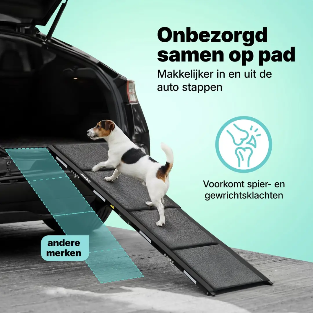 Jake and Jacky Hondenloopplank Auto - Opvouwbaar 160x44cm - Zwart