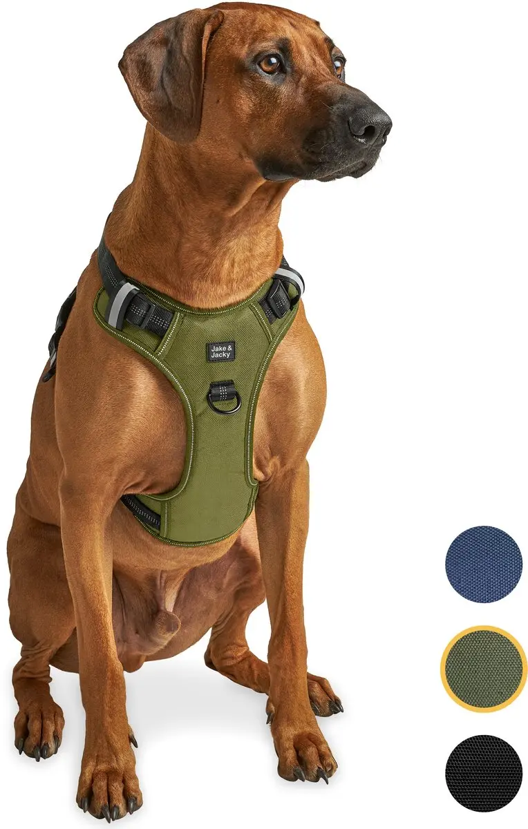 Jake and Jacky Anti-Trek Tuig Hond