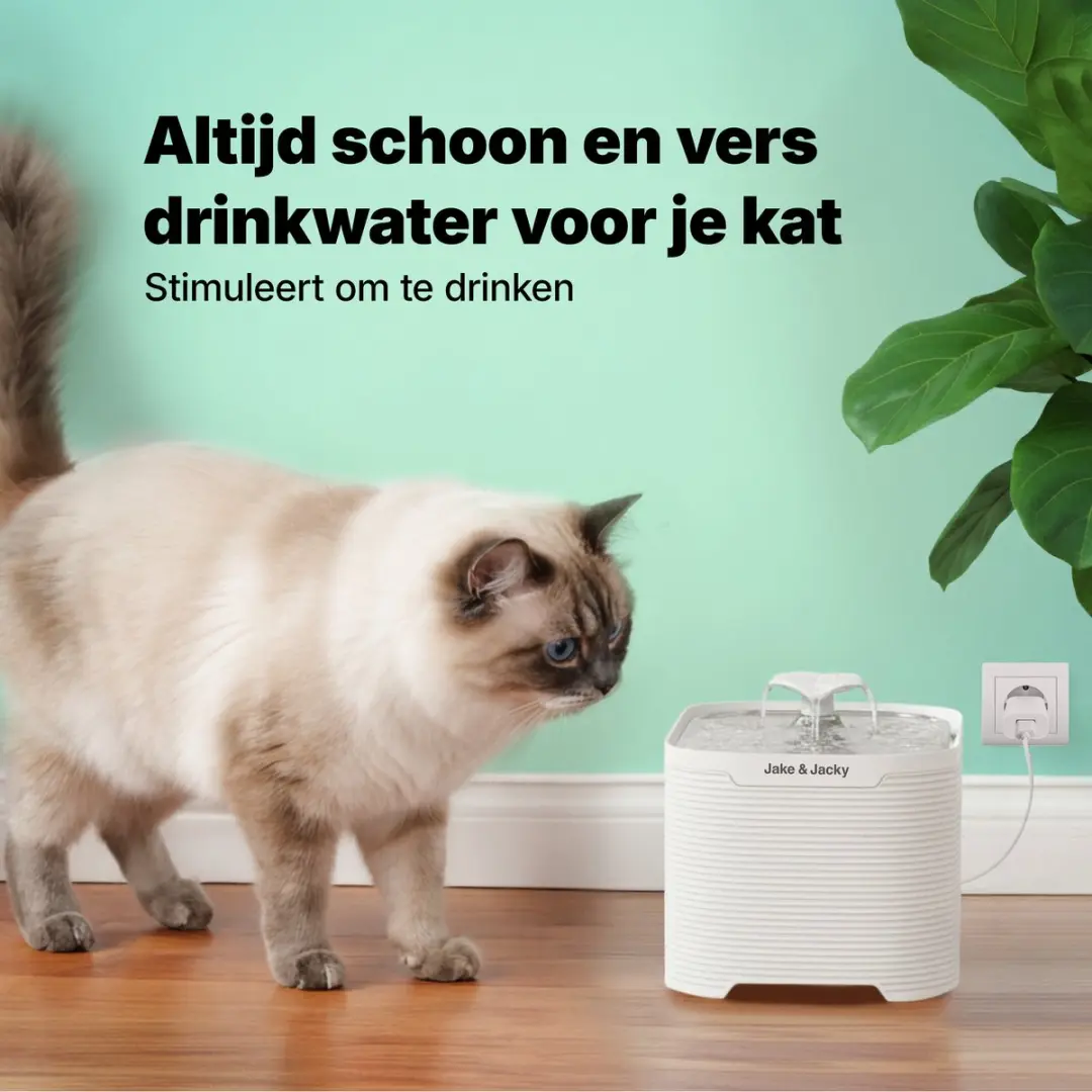 Jake and Jacky Drinkfontein Kat en Hond RVS 2,5L - Wit
