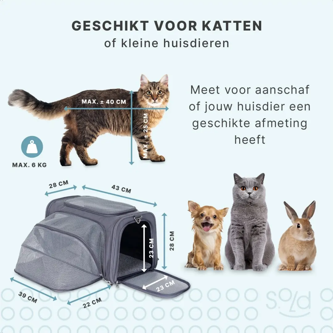 Jake and Jacky Reismand Kat - Maat M - 43x28x28cm - Grijs