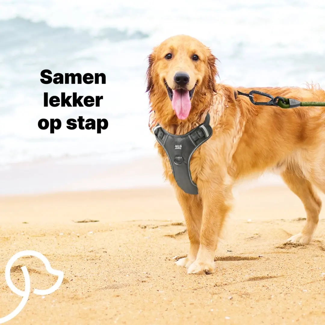 Jake and Jacky Hondenriem 3m - Groen