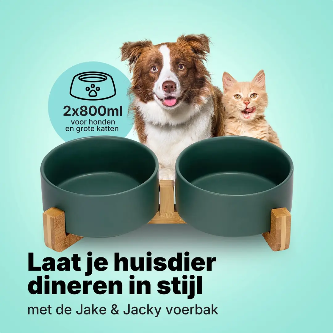 Jake and Jacky Keramiek Voerbakken 2x800ml - Groen - met Bamboe Stand