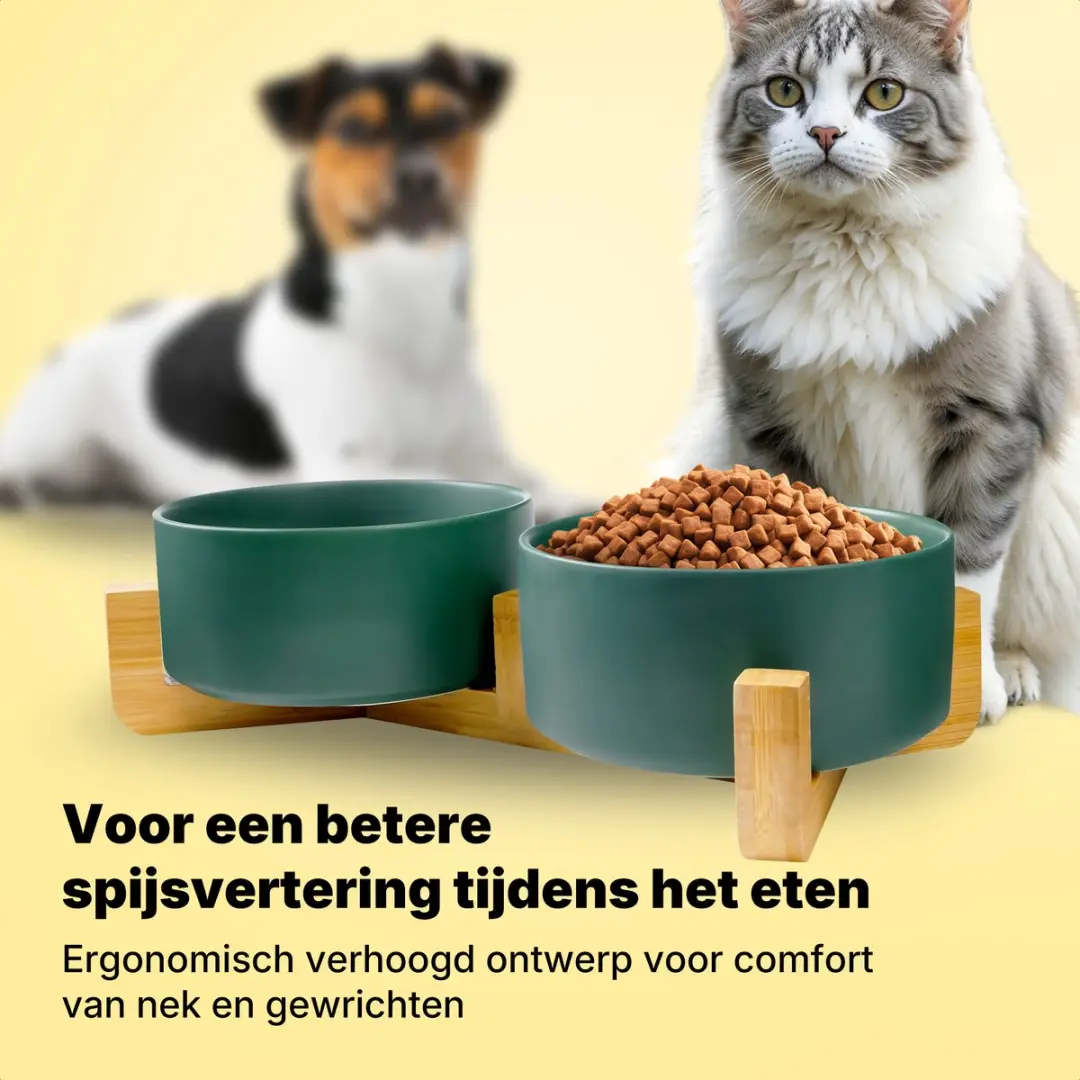 Jake and Jacky Keramiek Voerbakken 2x800ml - Groen - met Bamboe Stand