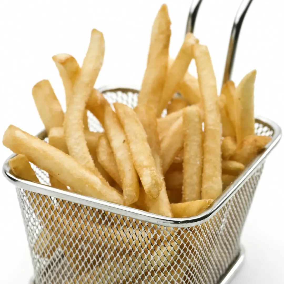 Fritel Fun Friteuse FF 1200 - 1400W 1,5L - Zilver