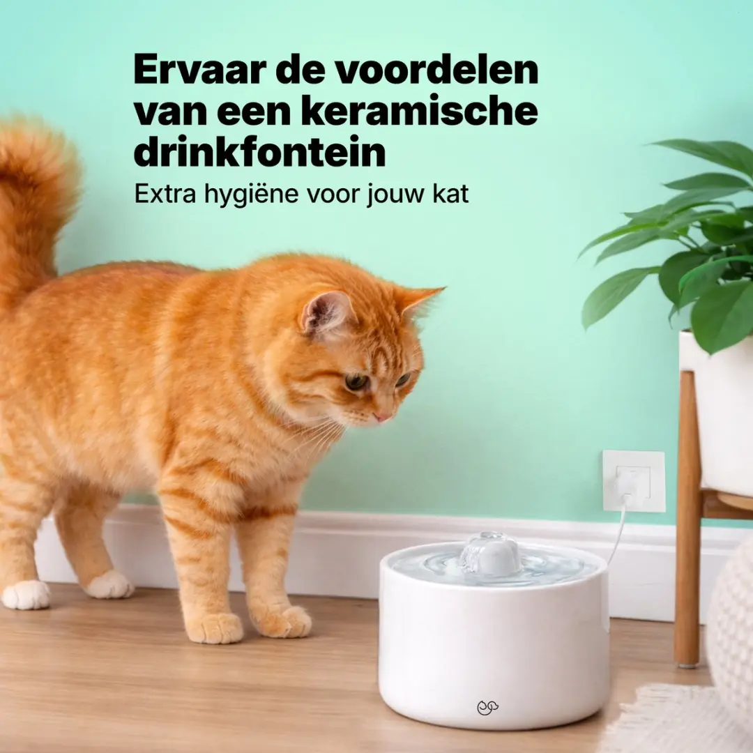 Jake and Jacky Keramische Drinkfontein Kat & Hond 2L - Keramisch Wit