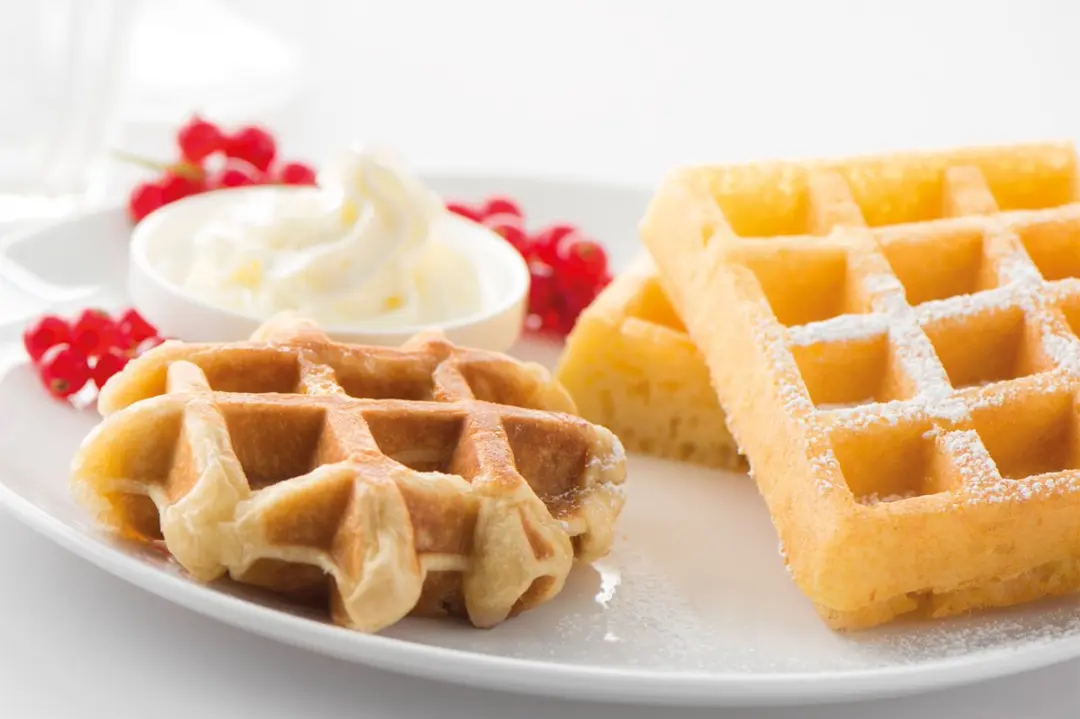 Fritel 142361 Set Bakplaten 4x6 Wafels - Zwart