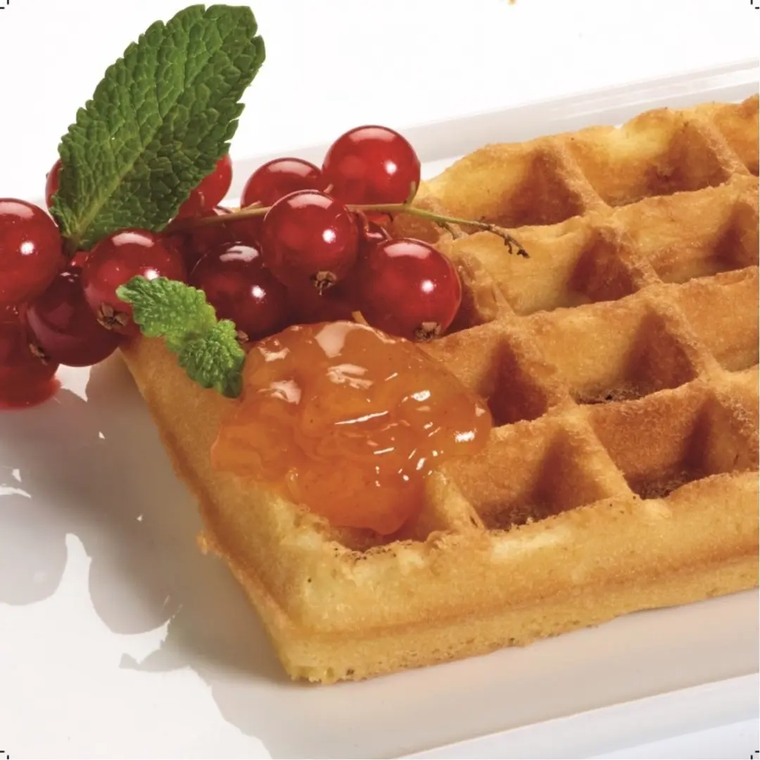 Fritel 142351 Set Bakplaten 4x7 Belgische Wafels - Zwart
