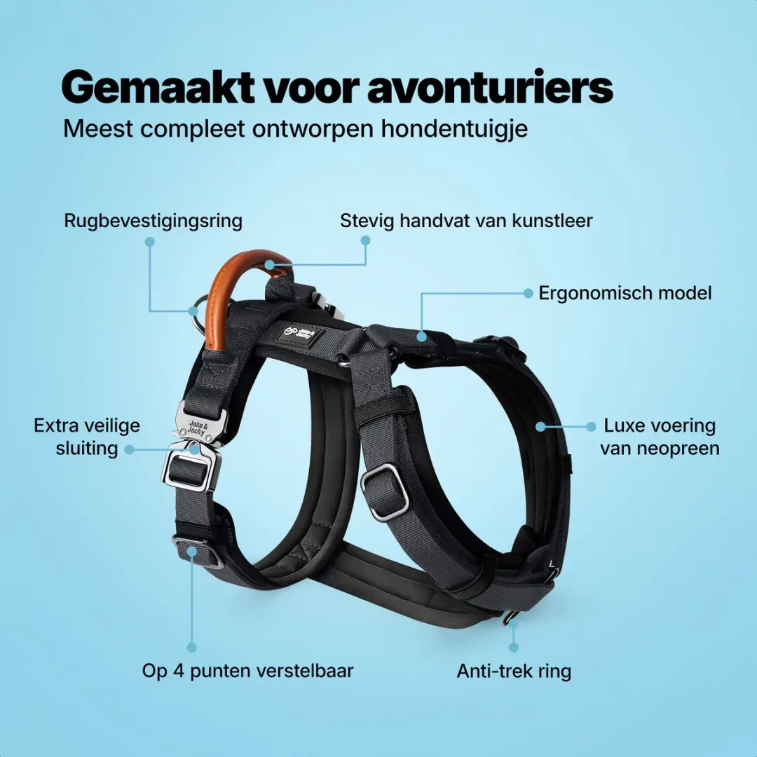 Jake and Jacky Hondentuigje Medium Y - Maat S - Zwart
