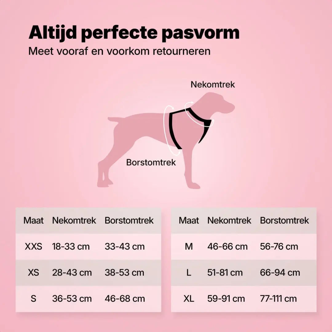 Jake and Jacky Hondentuigje Medium Y - Maat S - Zwart