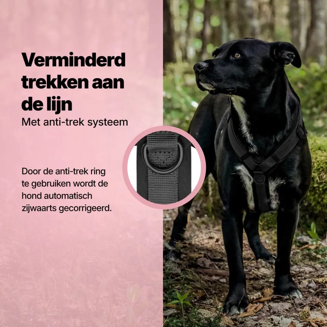 Jake and Jacky Hondentuigje Medium Y - Maat S - Zwart