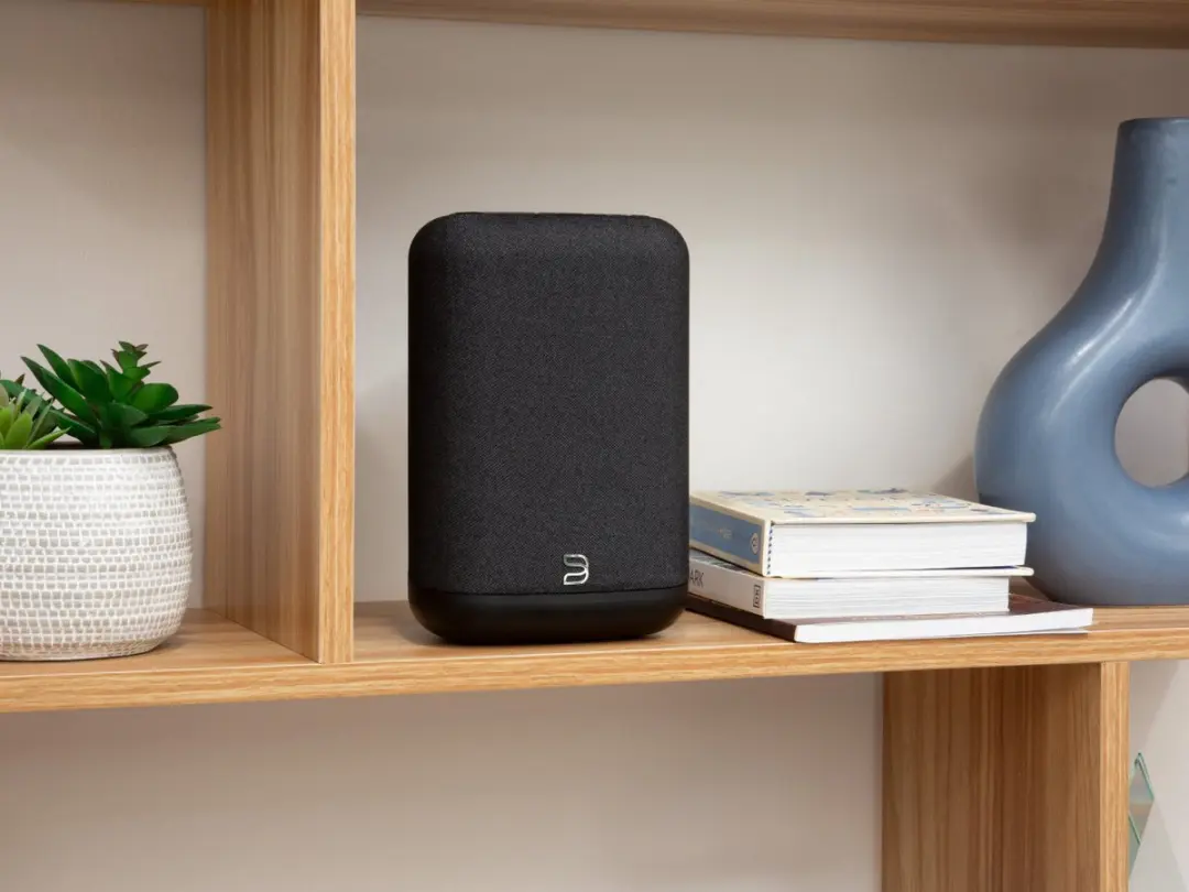 Bluesound Pulse Flex Draadloze Speaker Duo Pack - Zwart