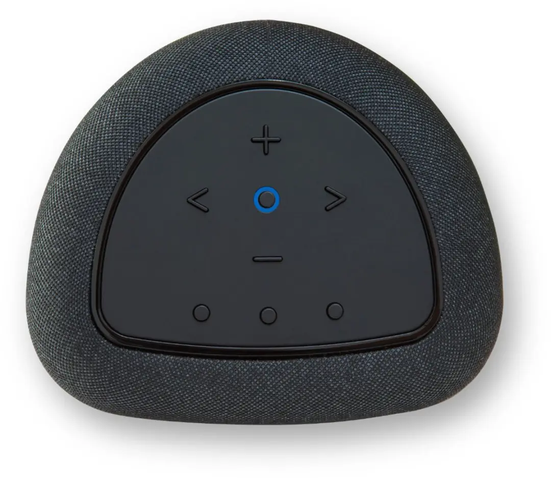 Bluesound Pulse Flex Draadloze Speaker Duo Pack - Zwart