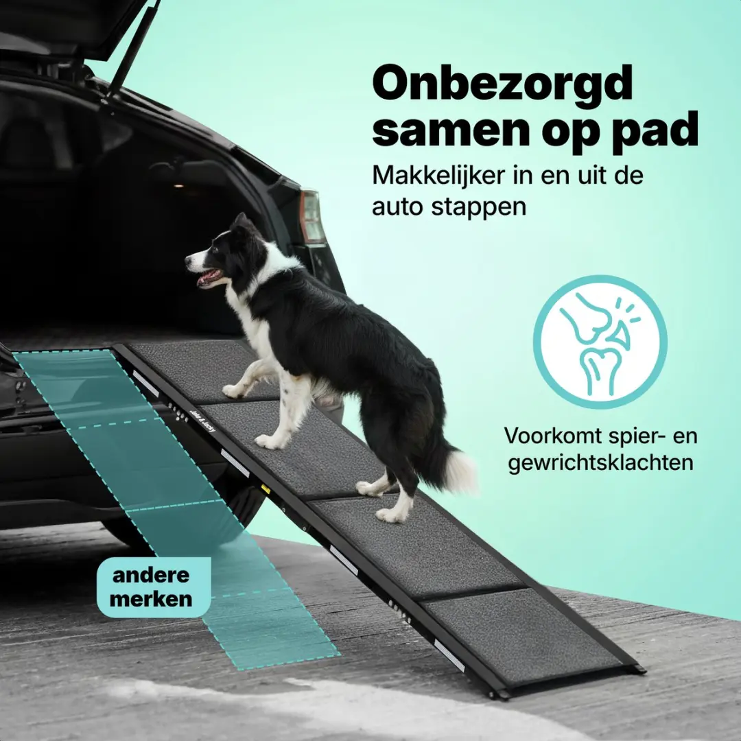 Jake and Jacky Hondenloopplank Auto 170x50cm - Antislip & Opvouwbaar