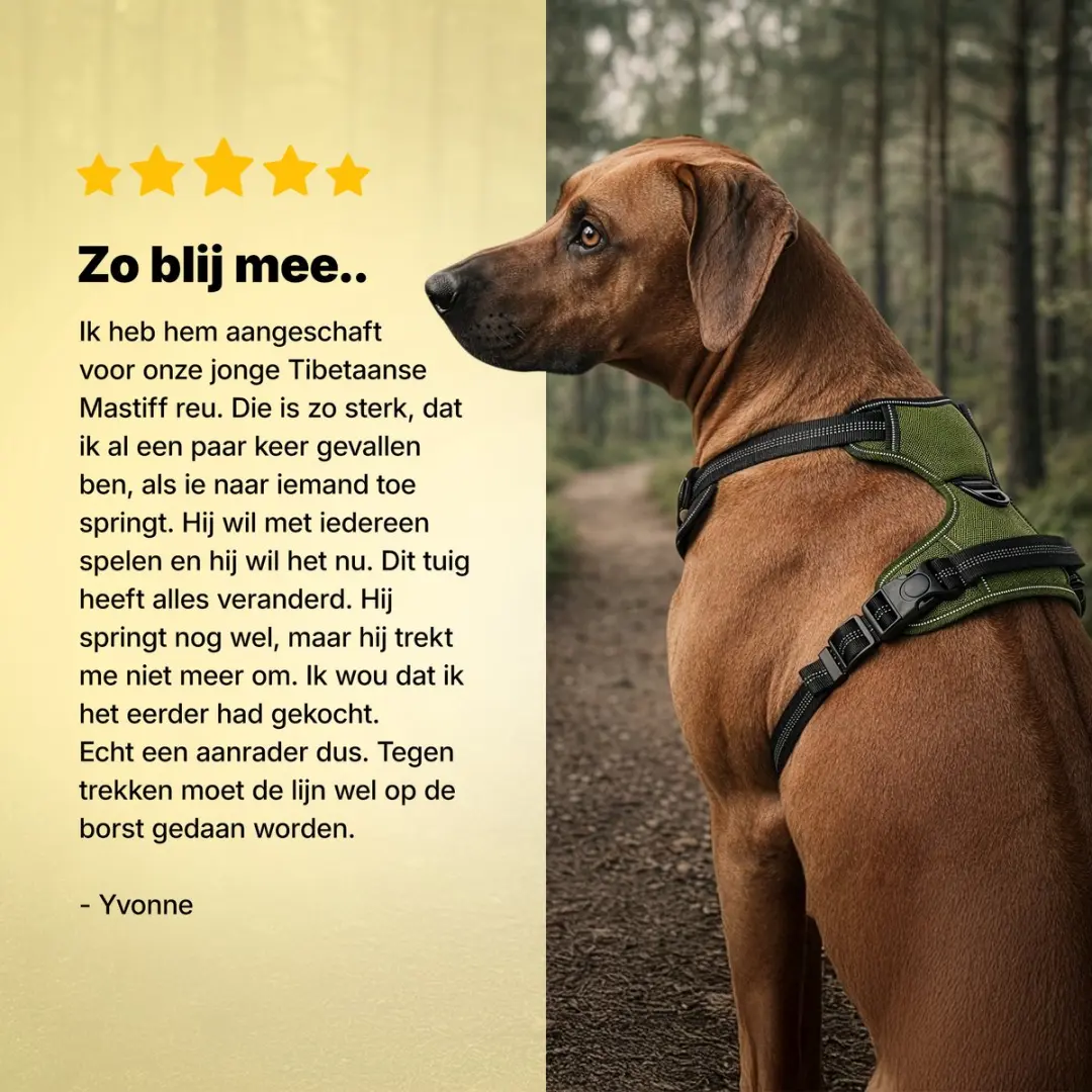 Jake and Jacky Anti-Trek Tuig Hondenharnas - Maat S - Groen