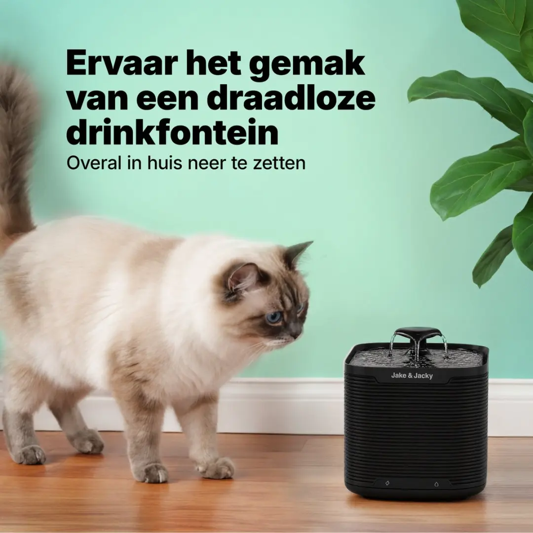 Jake and Jacky Drinkfontein RVS Draadloos Kat & Hond - 2,5L - Zwart