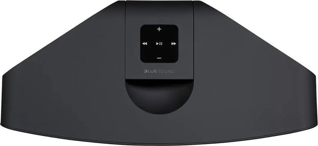 Bluesound Pulse 2i Draadloze Speaker - Zwart