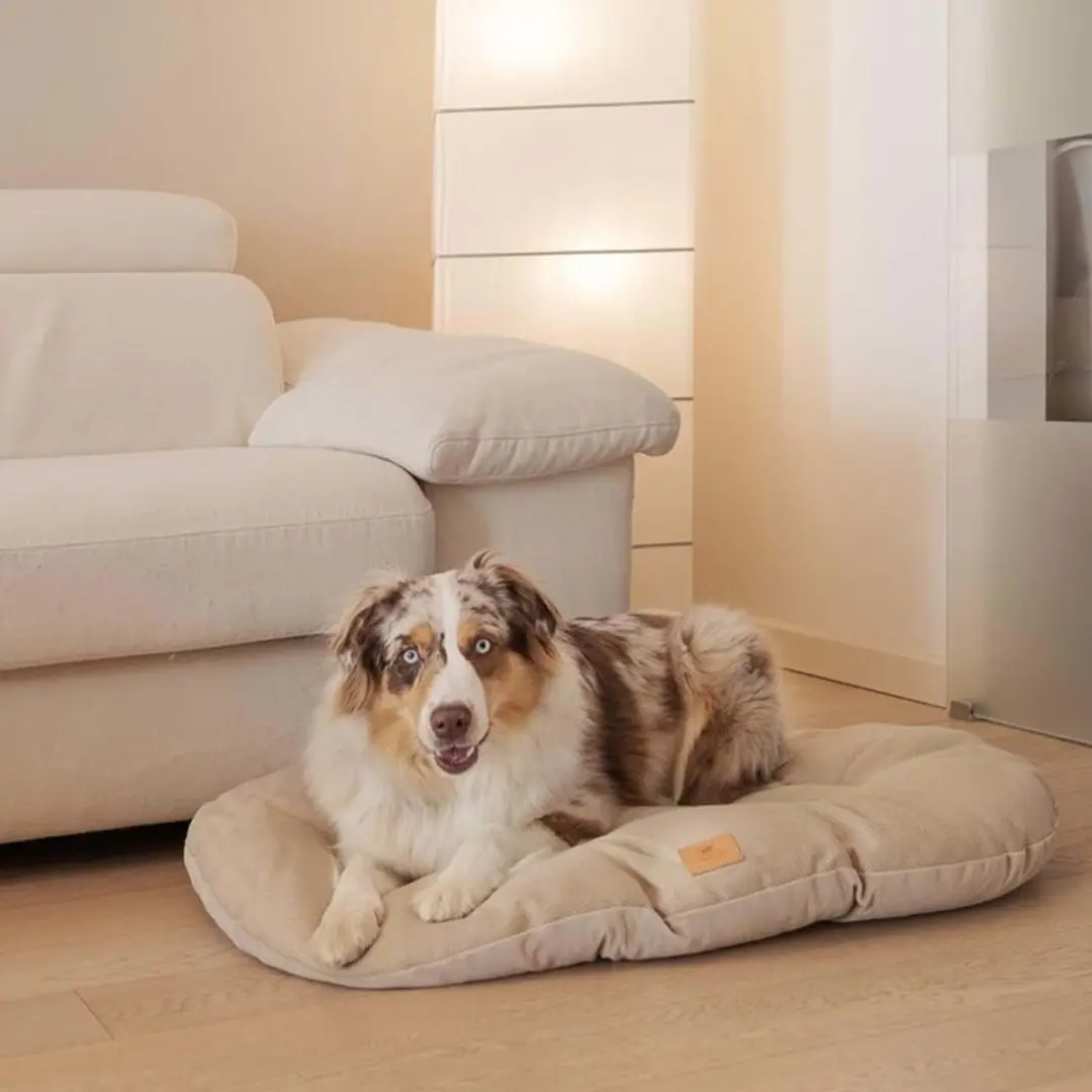 Ferplast Stuart Honden- en kattenkussen - Beige - afbeelding 5 van 6