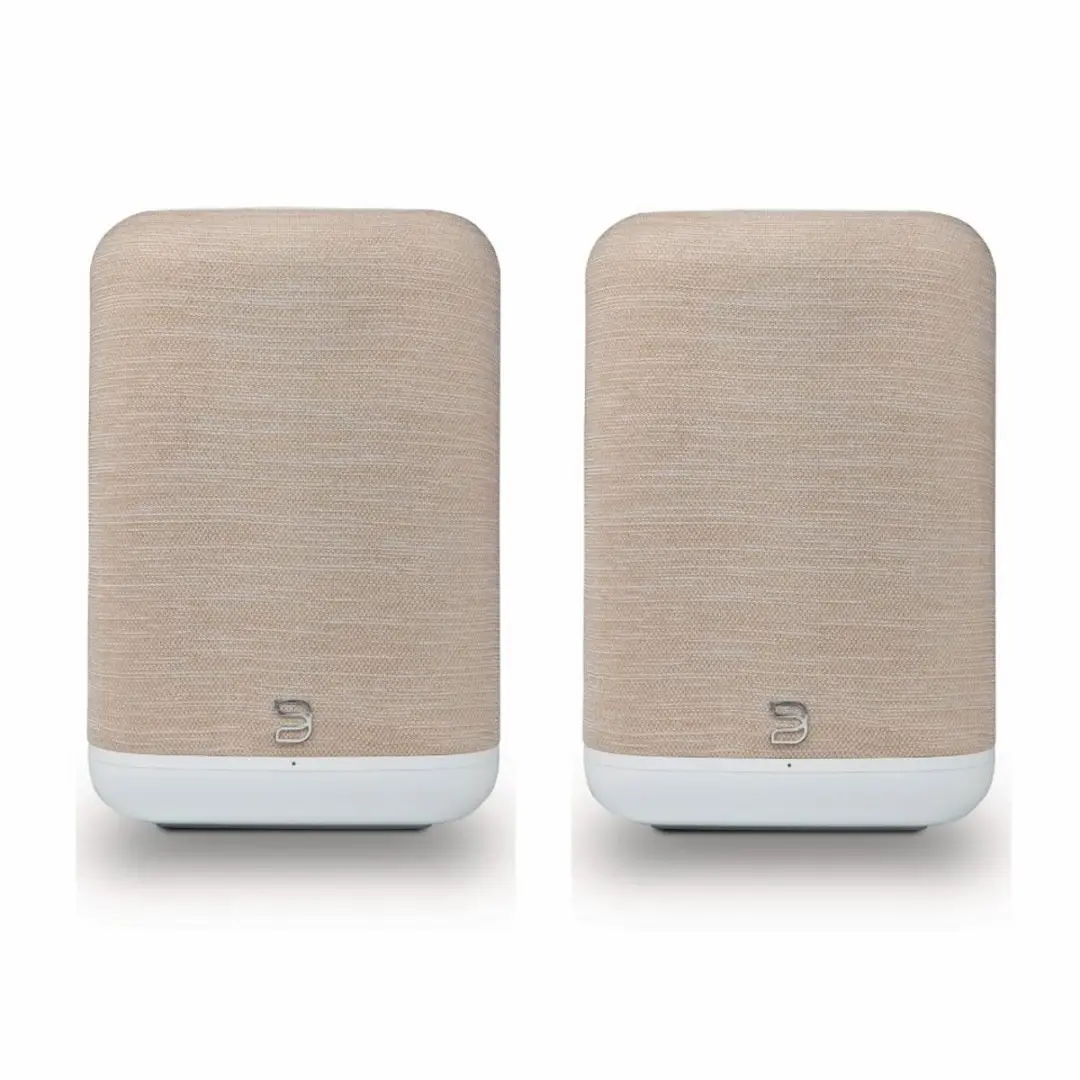 Bluesound Pulse Flex Draadloze Speaker