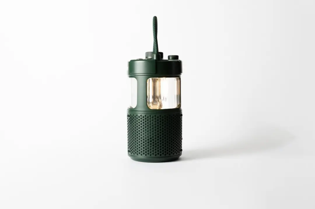 Pure Woodland Glow 252584 Draagbare Speaker
