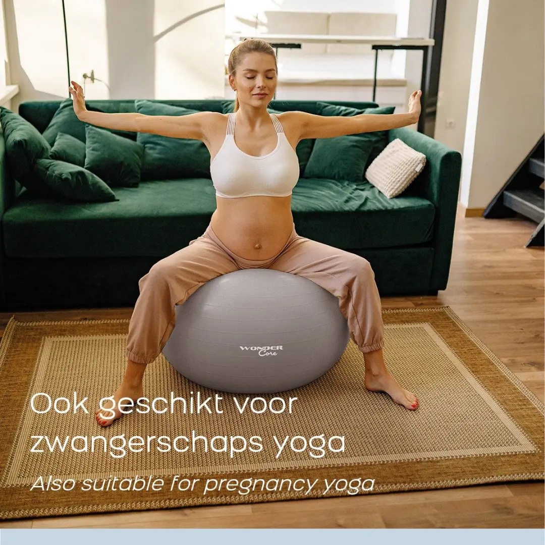 Wonder Core Gymbal Fitnessbal 75cm - Antiburst - Grijs