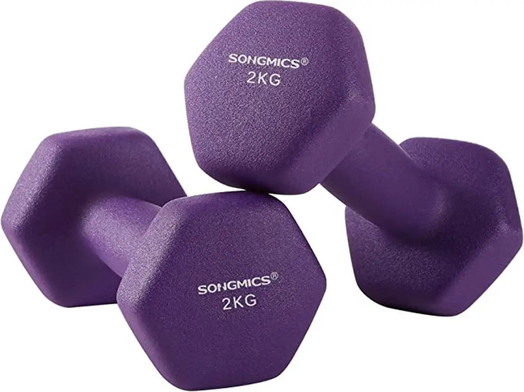Songmics Dumbbell Set 4kg