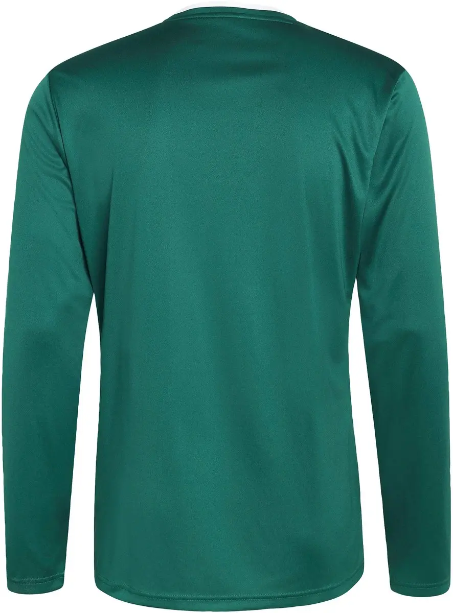 adidas Performance Entrada26 Longsleeve - XS - Groen - afbeelding 6 van 6