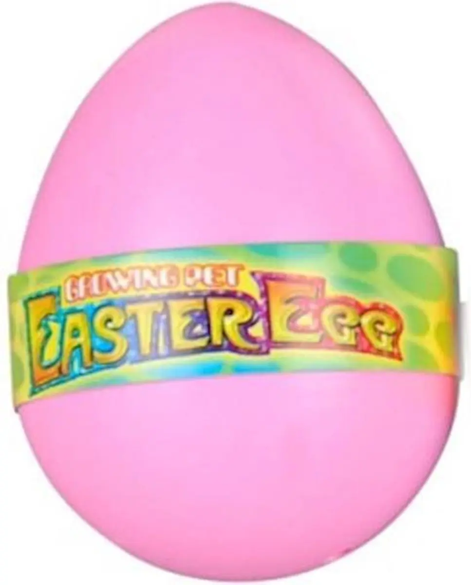 Van Manen Magisch Ei Hatching Egg Junior 6cm Roze