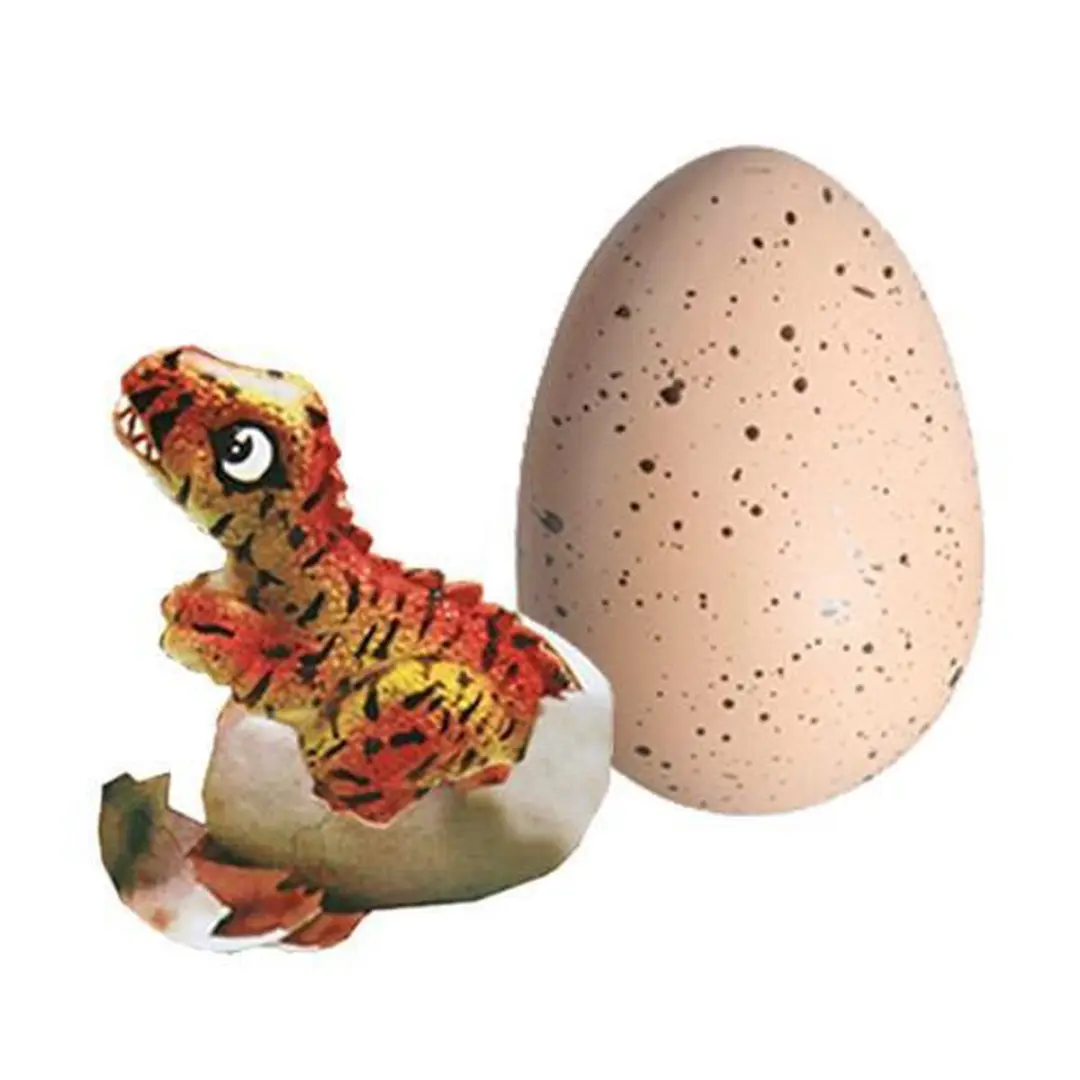 Van der Meulen Growing Dinosaur Egg Assortiment - Multikleur