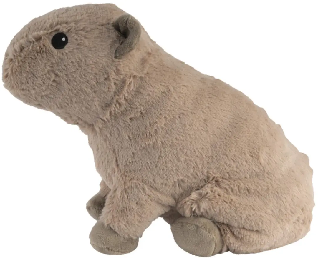Warmies Capibara Knuffel 24cm - Pittenzak