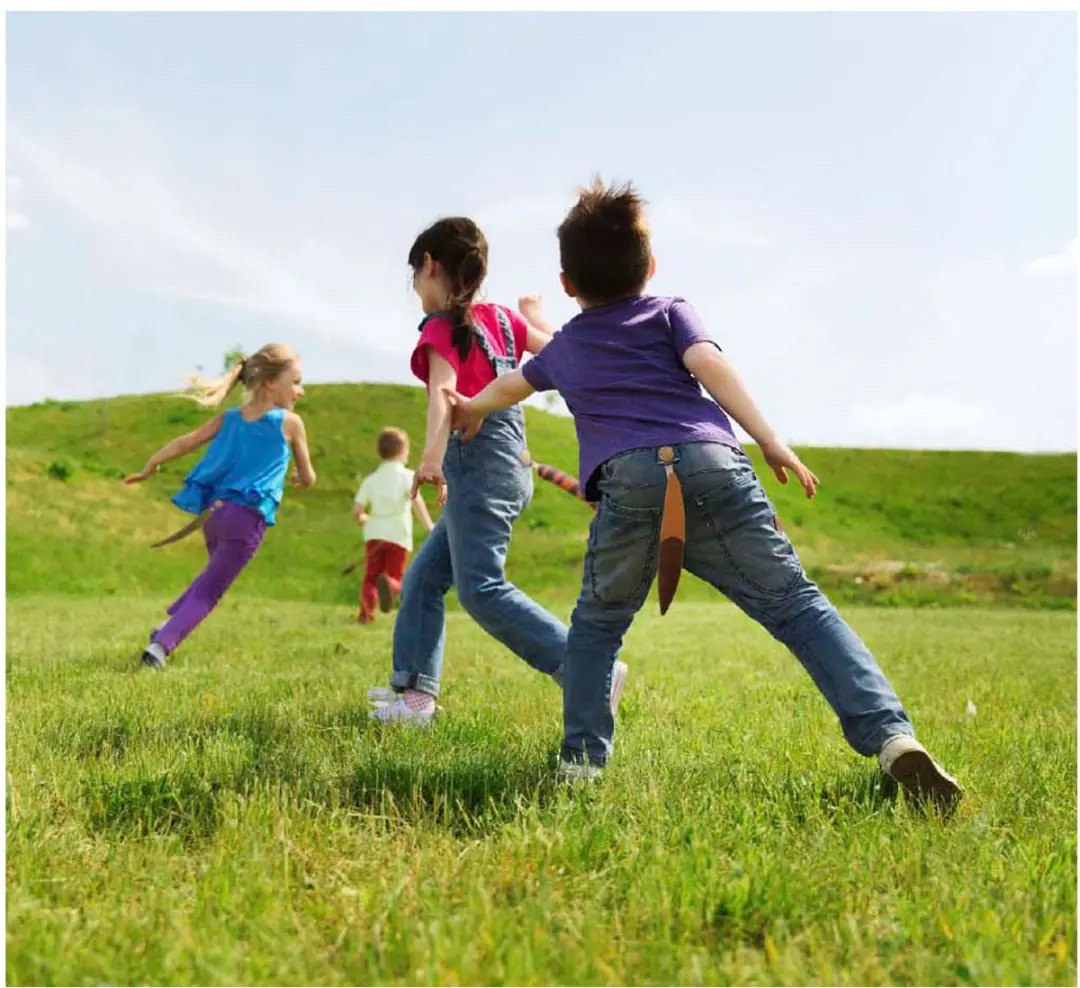 VAN MANEN Dierenstaarten Tikkertje Speelgoed - 6 Stuks - Meerkleurig
