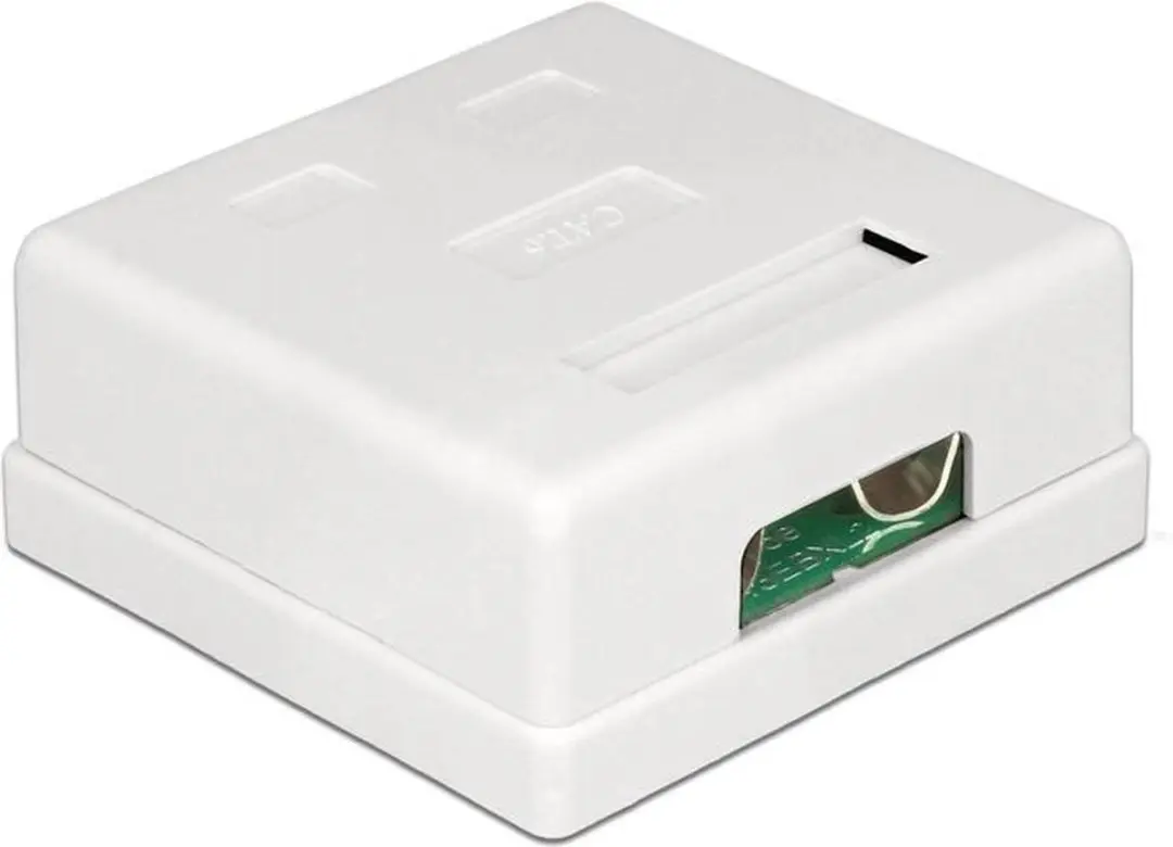 Delock CAT6 Netwerkuitvoerdoos 2x RJ45 - Wit