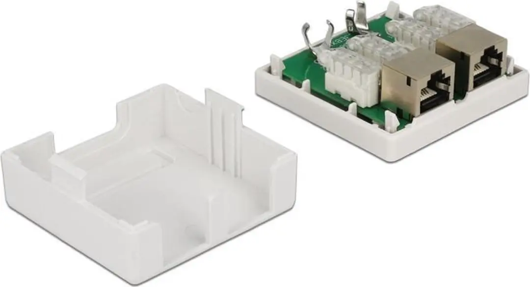 Delock CAT6 Netwerkuitvoerdoos 2x RJ45 - Wit