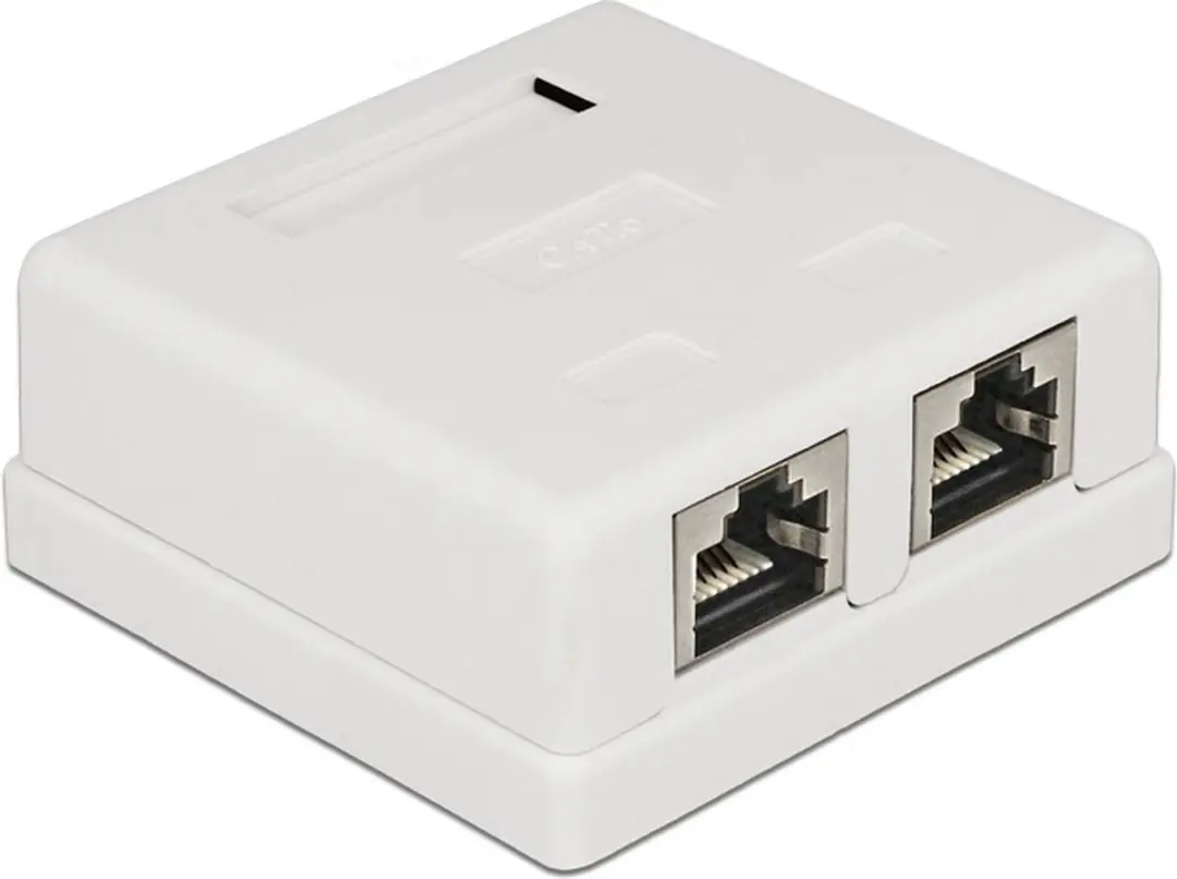 Delock CAT6 Netwerkuitvoerdoos 2x RJ45