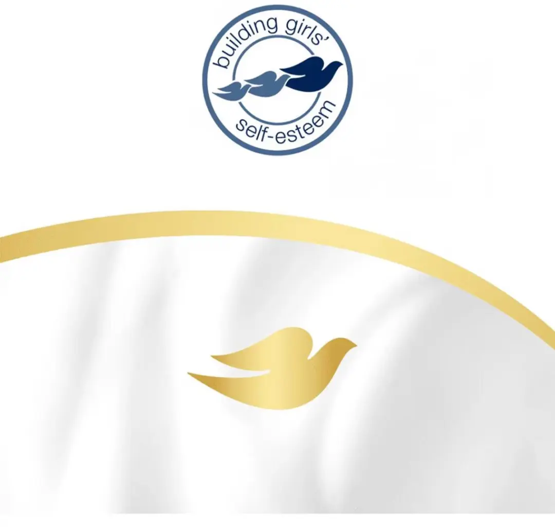 Dove Shea Butter Handzeep - 12 Stuks (4x90ml)