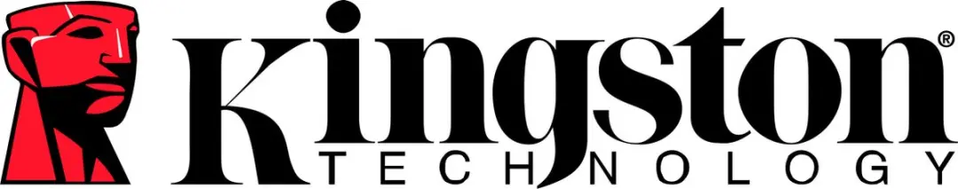 Kingston OM8PGP4512Q-AI NVMe SSD 512GB