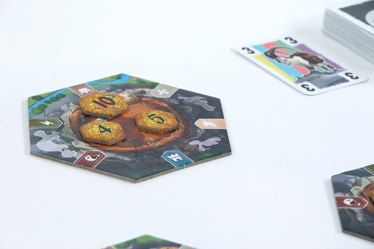 999 Games - Schatten van de Phoenix - Spannend snel kaartspel - Eenvoudige spelregels