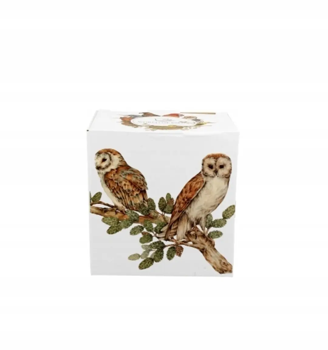 Duo Porseleinen Mok met Zeef en Deksel - 400ml - Uilen - Wit/Veelkleurig