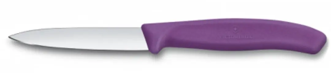 Victorinox Swiss Classic Schilmesje 8cm - Paars