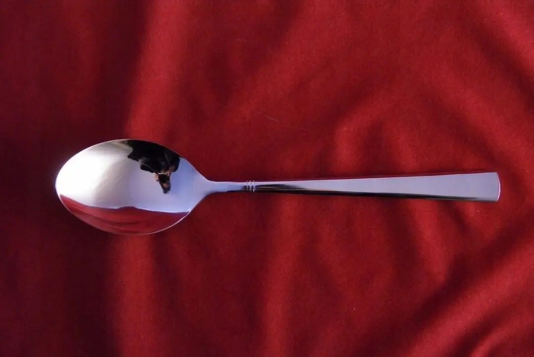 Amefa Palmon Serveerlepel 22,1cm - Roestvrij staal