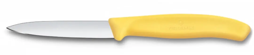Victorinox Swiss Classic Schilmesje 8cm