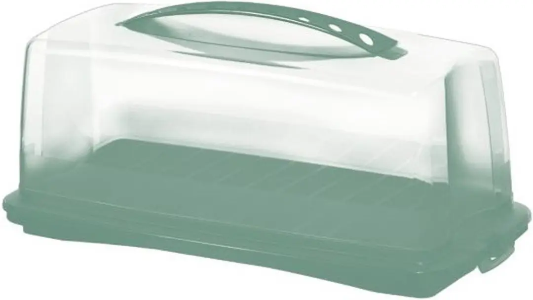Rotho Fresh Cakedoos 36x16.5cm - Groen