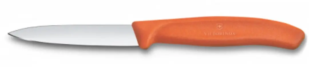 Victorinox Swiss Classic Schilmesje 8cm