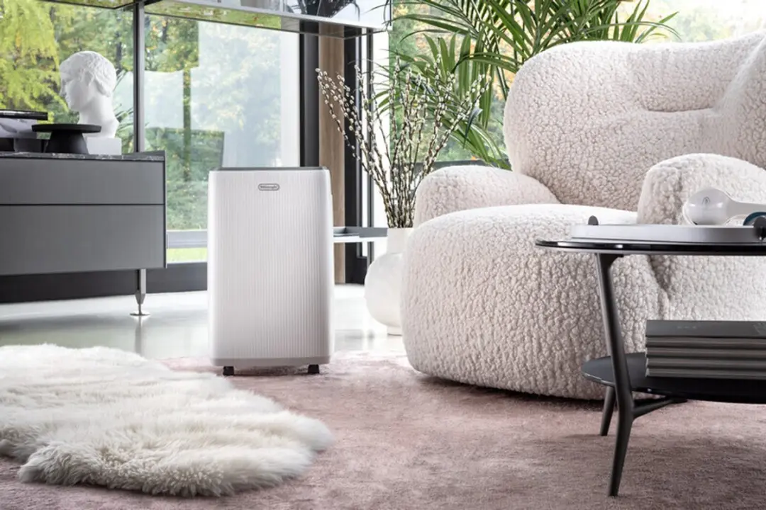 De'Longhi AriaDry Evo DEP216 Luchtonvochtiger 16L - Wit
