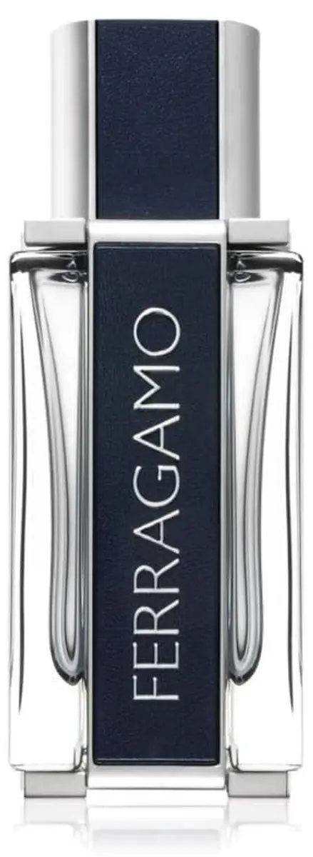 Salvatore Ferragamo Pour Homme Eau de Toilette 50ml