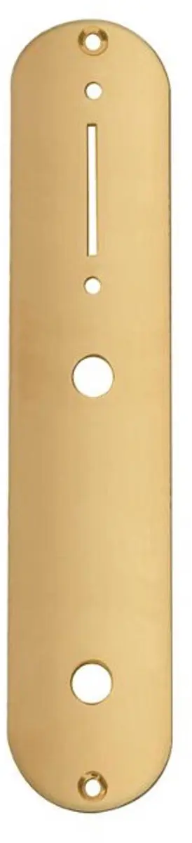 Boston CP-TE-AG Controleplaat Goud 32x160mm