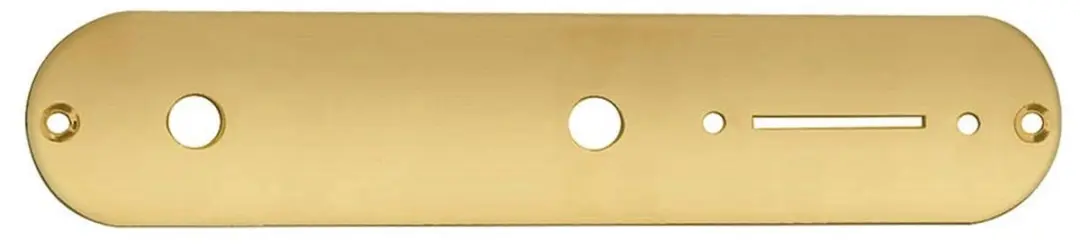 Boston CP-TE-AG Controleplaat Goud 32x160mm - afbeelding 2 van 2