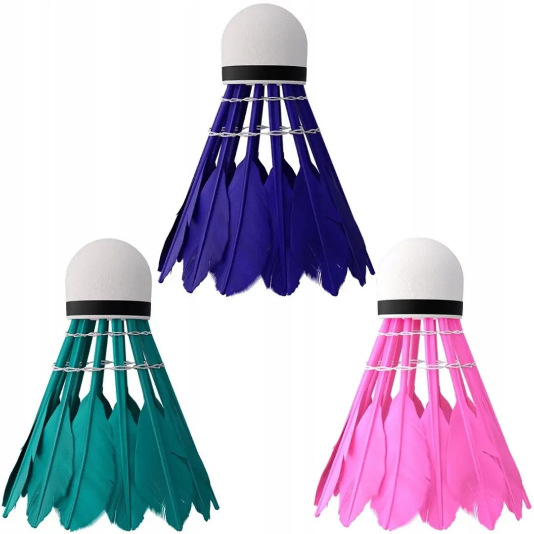 Nils Badmintonset - 2 rackets, 3 vederballen - Multicolor