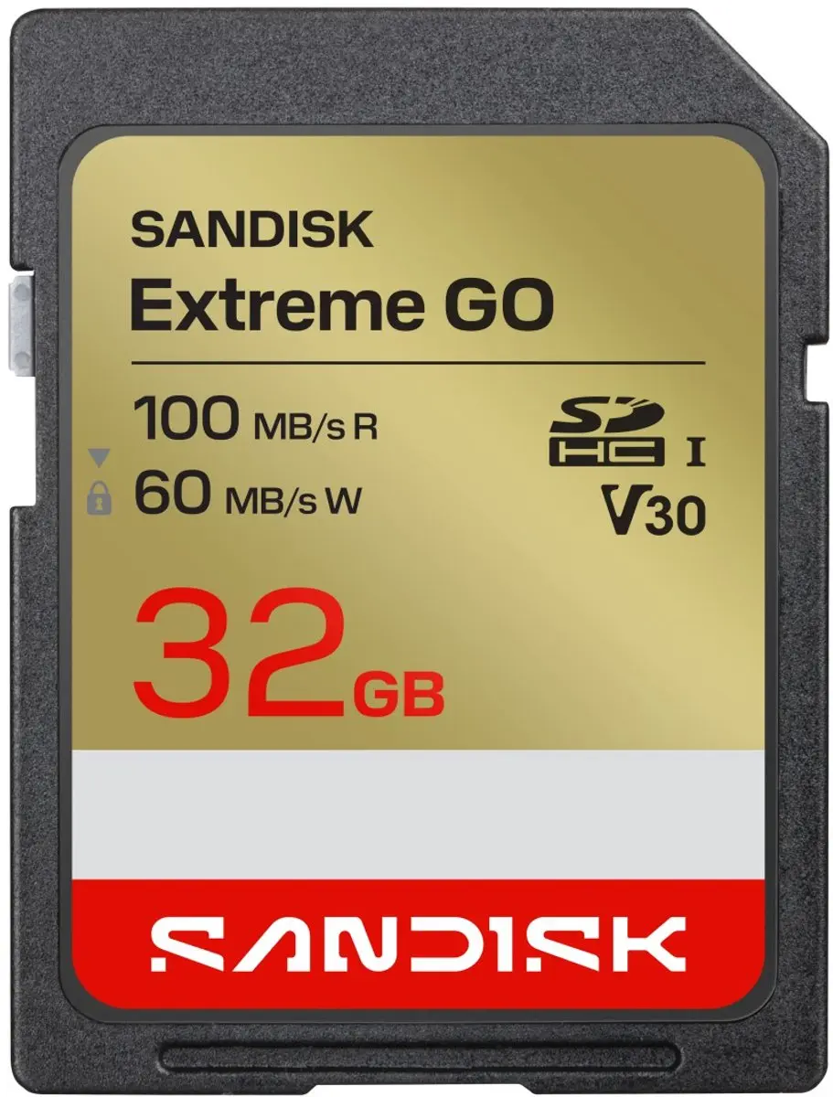 SanDisk SDHC Extreme GO 32GB