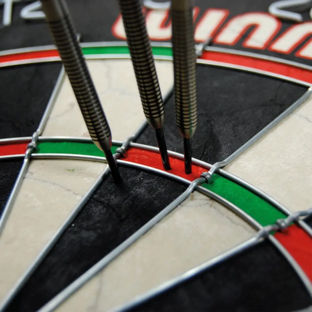 Winmau Pro SFB Dartbord 45cm