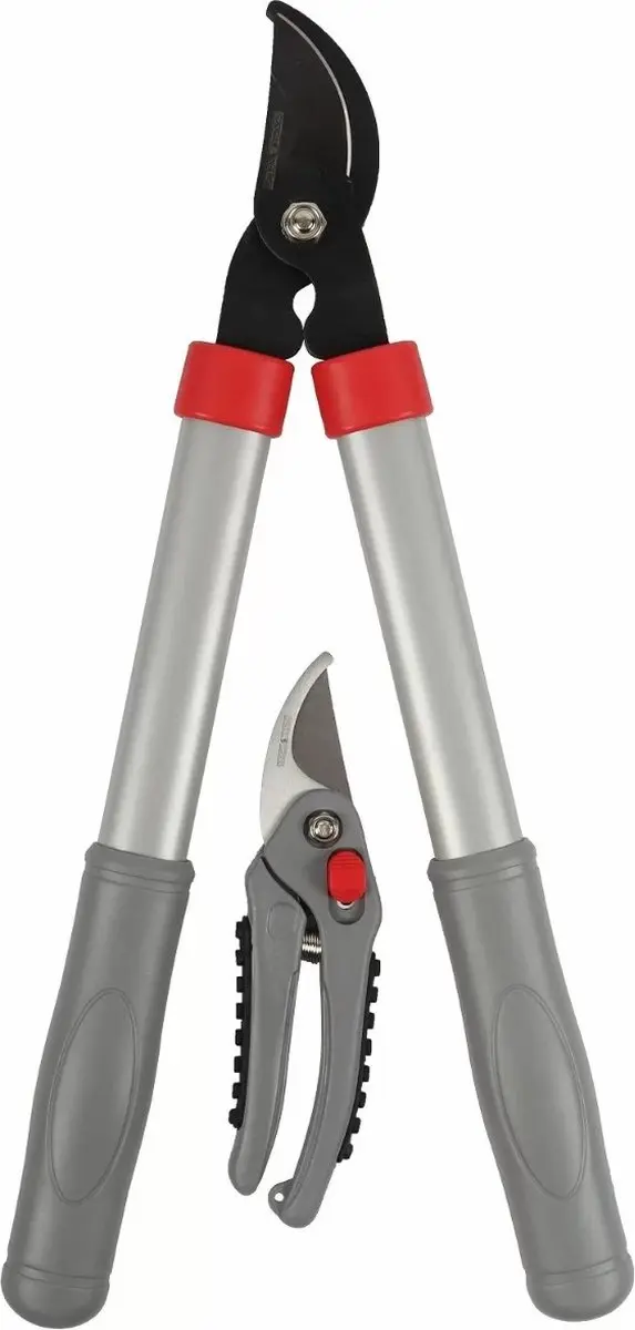 Talen Tools Takkenschaar & Snoeischaar